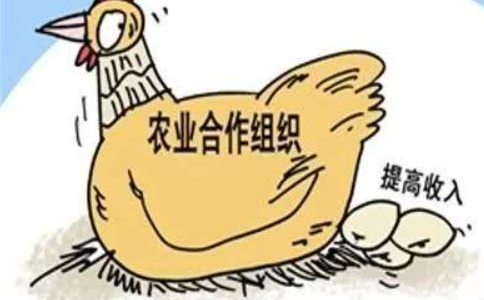 鄭州注冊(cè)農(nóng)民專(zhuān)業(yè)合作社屬于什么企業(yè)類(lèi)型