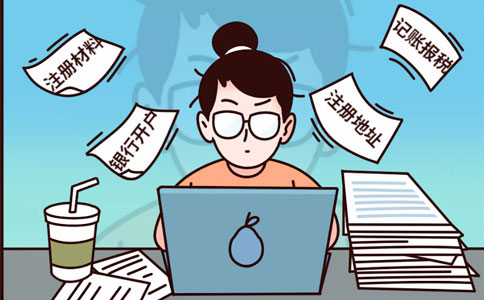 河南掌上登記自主申報(bào)企業(yè)名稱駁回字號怎么填